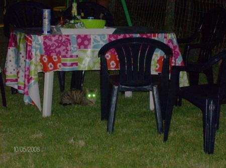 oO� X-file - Le retour ! �Oo